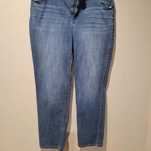 Terra&Sky size 16w straight leg jean